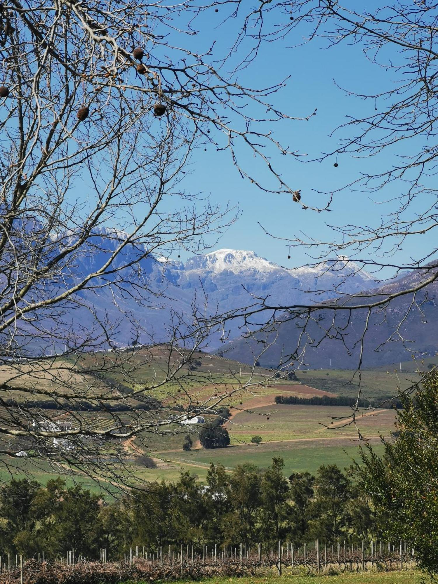 Gemoedsrus Farm Villa Stellenbosch Kültér fotó